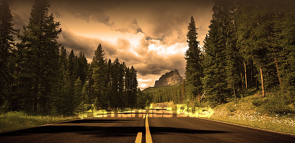 road2.jpg